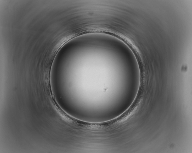 X0000095910897200801111229