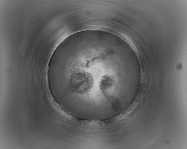 X0000095910899200801111229