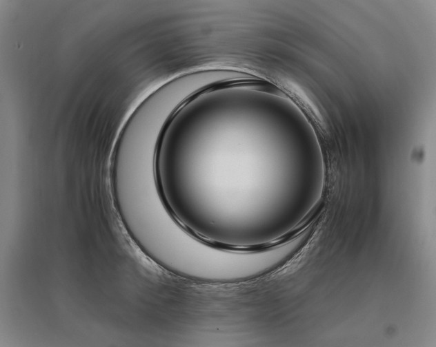 X0000095910900200801111229