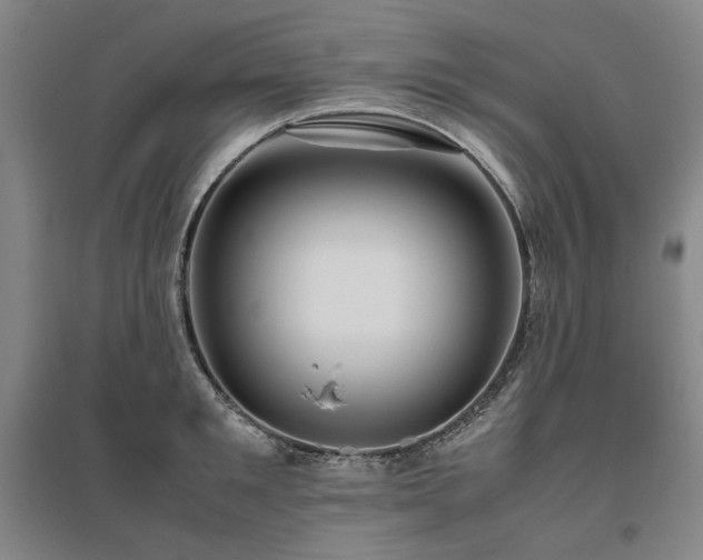 X0000095910901200801111229