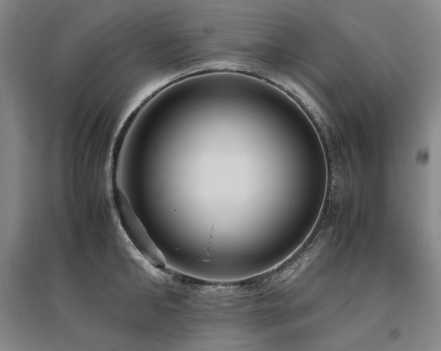 X0000095910902200801111229