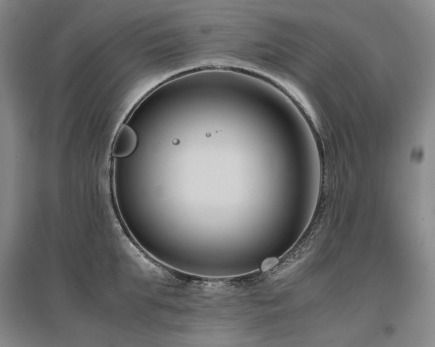 X0000095910903200801111229