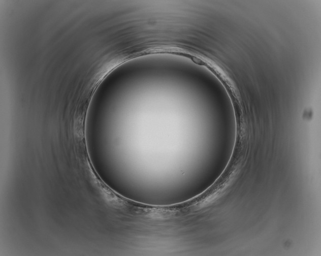 X0000095910905200801111229