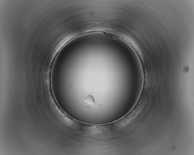 X0000095910906200801111229