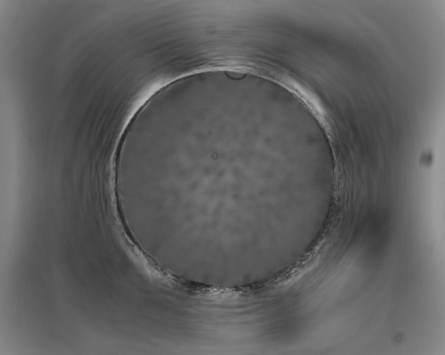 X0000095910907200801111229