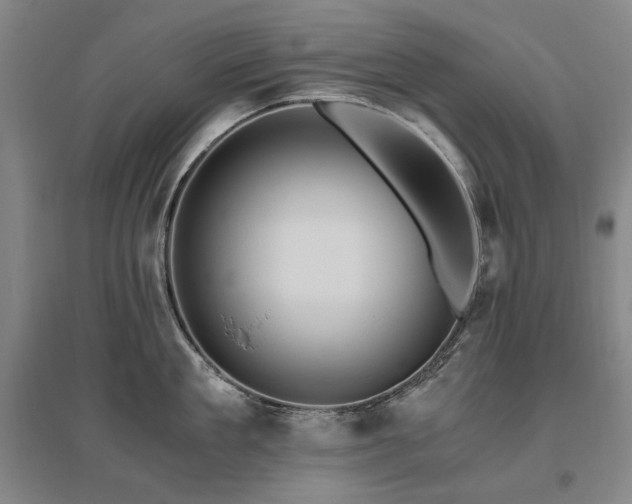 X0000095910909200801111229