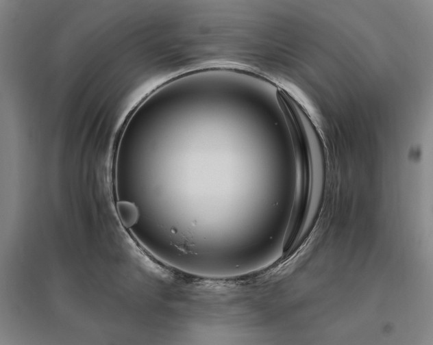 X0000095910910200801111229