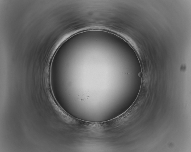 X0000095910911200801111229