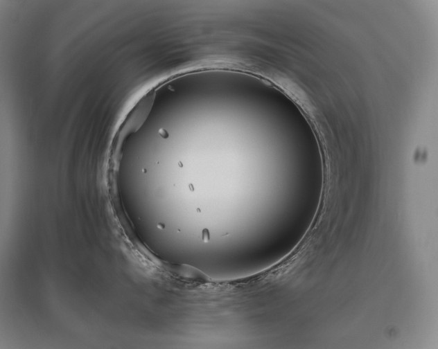 X0000095910912200801111229