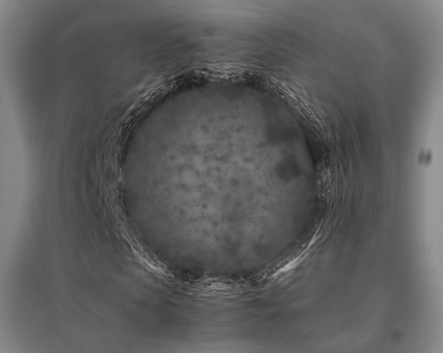 X0000095910913200801111229