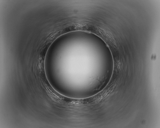 X0000095910914200801111229