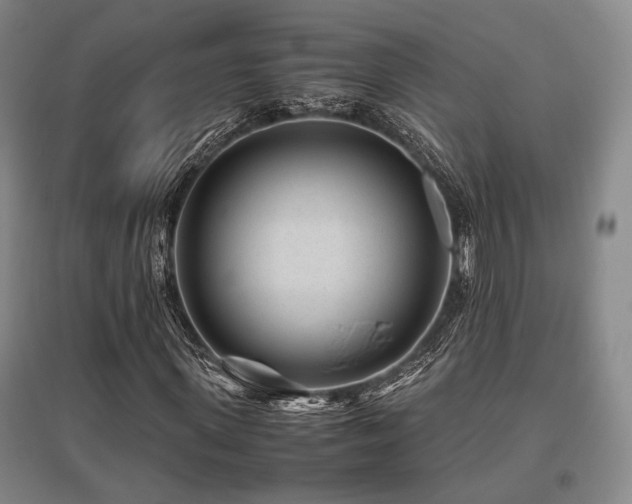 X0000095910915200801111229
