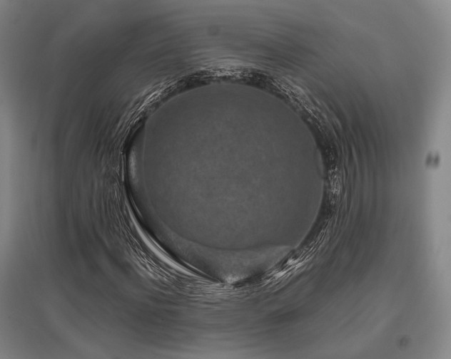 X0000095910916200801111229