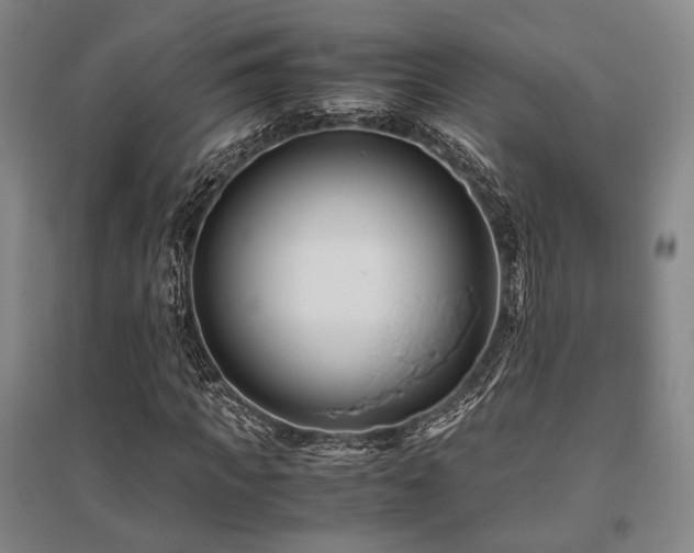 X0000095910917200801111229