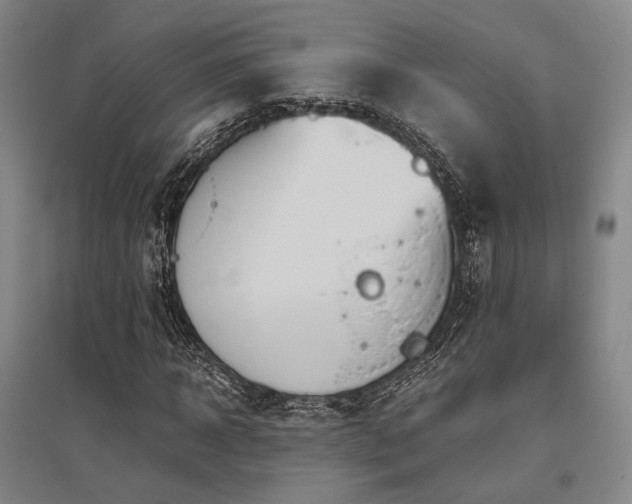 X0000095910918200801111229