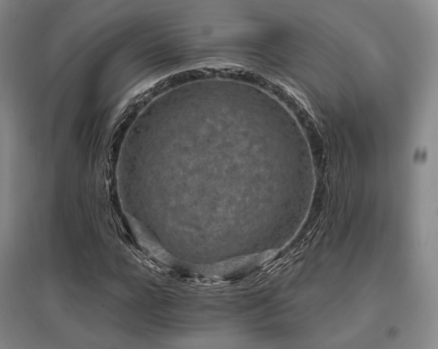 X0000095910920200801111229