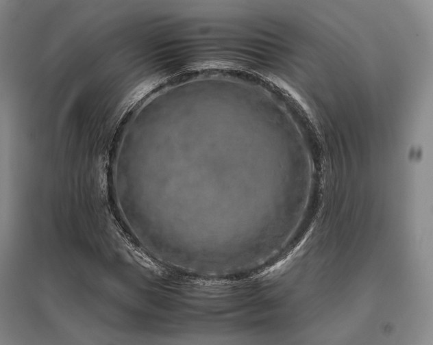 X0000095910921200801111229