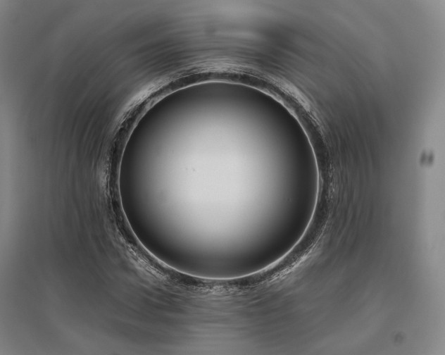 X0000095910922200801111229