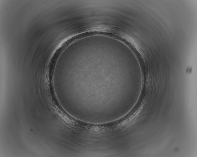X0000095910923200801111229