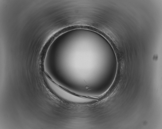 X0000095910926200801111229