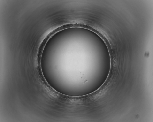 X0000095910927200801111229