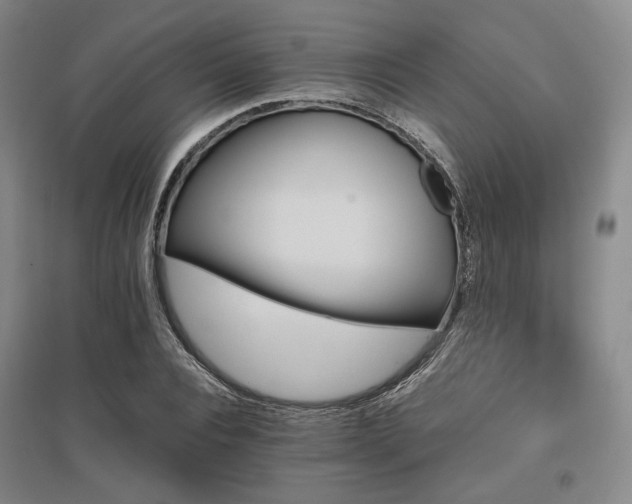 X0000095910928200801111229