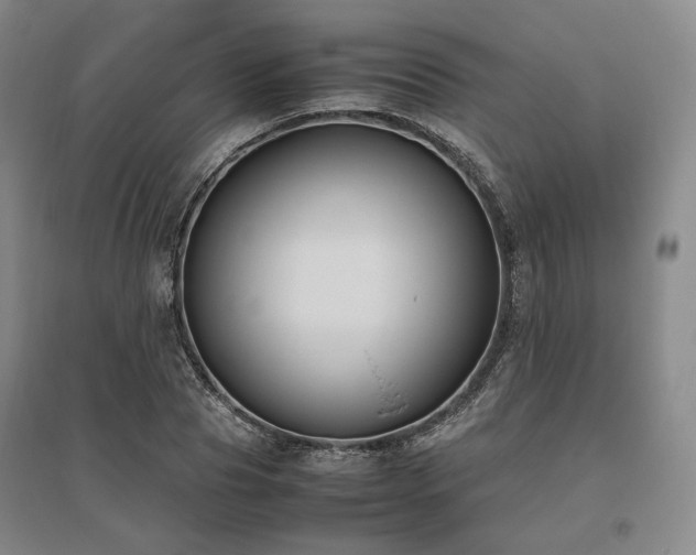 X0000095910929200801111229