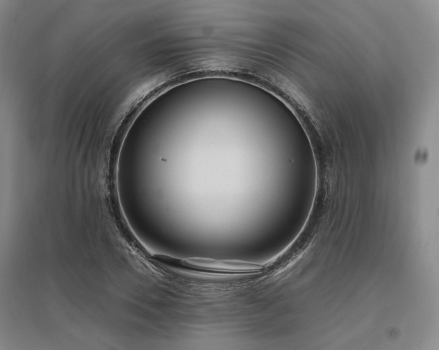 X0000095910930200801111229
