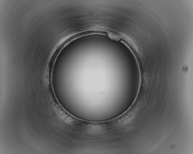 X0000095910931200801111229