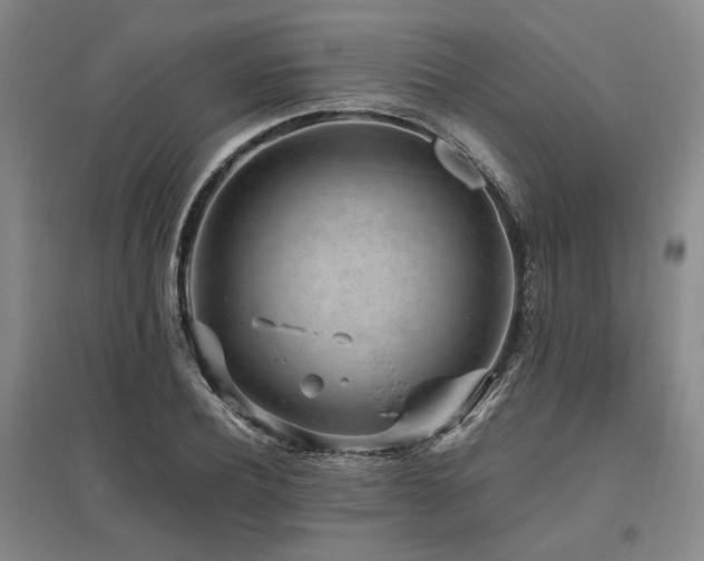 X0000095910932200801111229