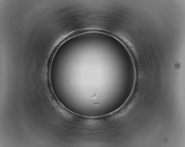 X0000095910933200801111229