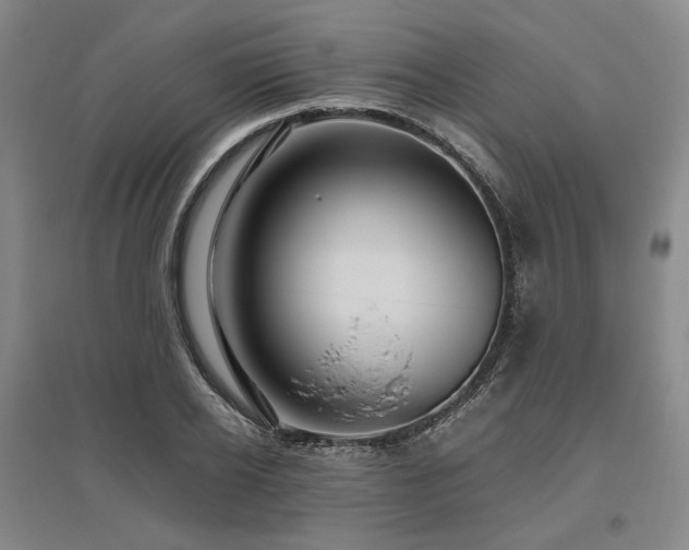 X0000095910934200801111229