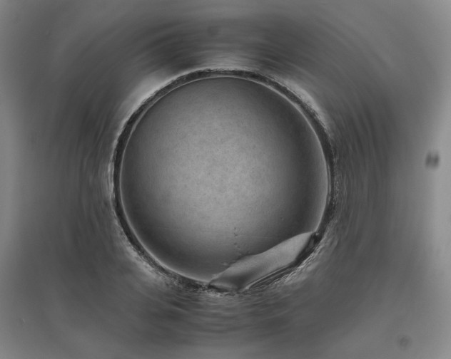 X0000095910935200801111229