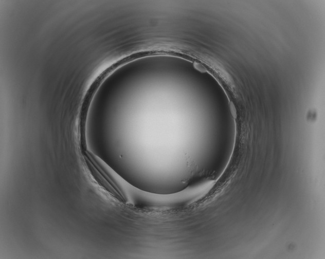 X0000095910936200801111229