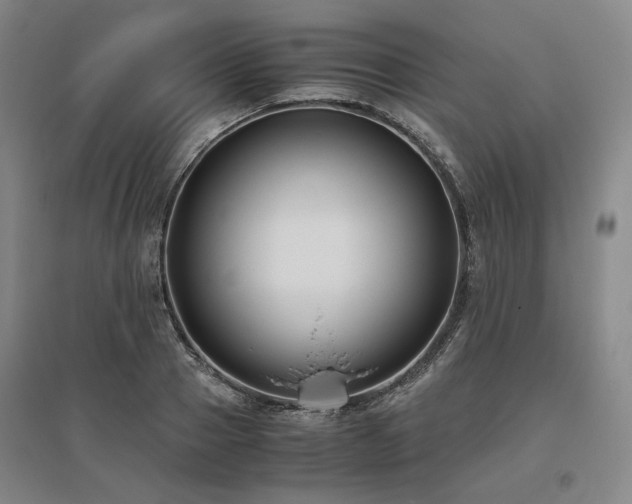 X0000095910937200801111229