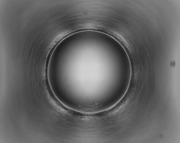 X0000095910938200801111229