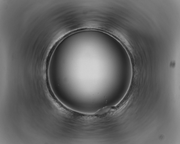 X0000095910939200801111229