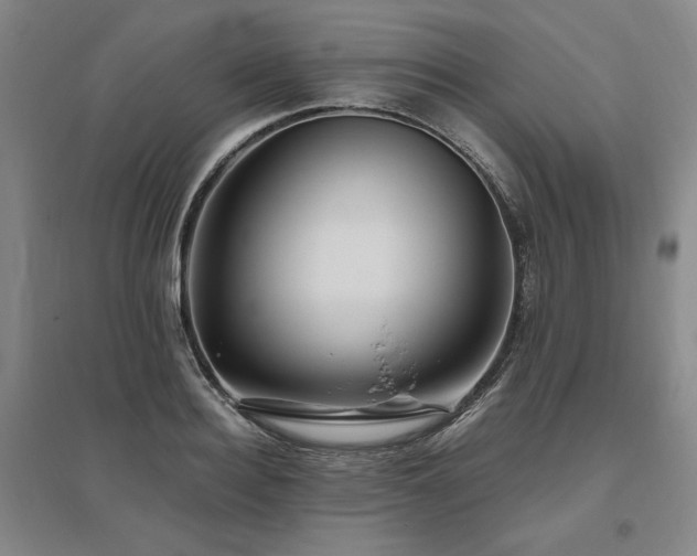 X0000095910940200801111229