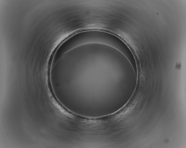 X0000095910941200801111229