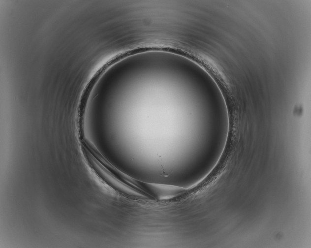 X0000095910942200801111229