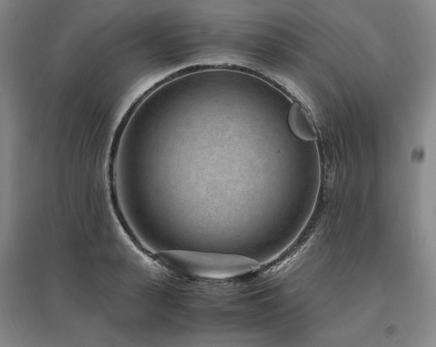 X0000095910943200801111229