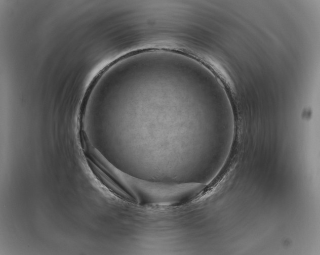 X0000095910944200801111229