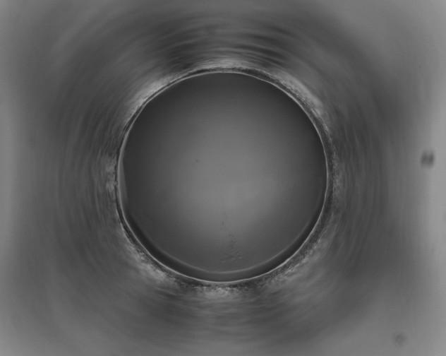 X0000095910945200801111229
