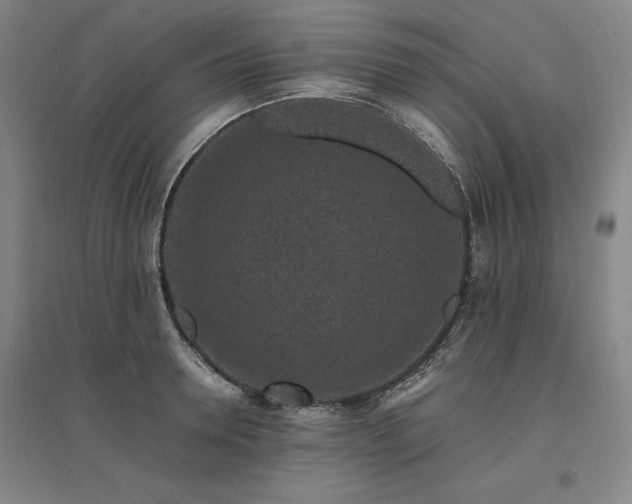 X0000095910946200801111229