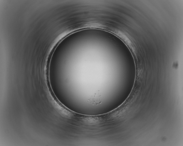 X0000095910947200801111229