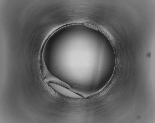X0000095910948200801111229