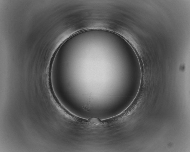 X0000095910949200801111229