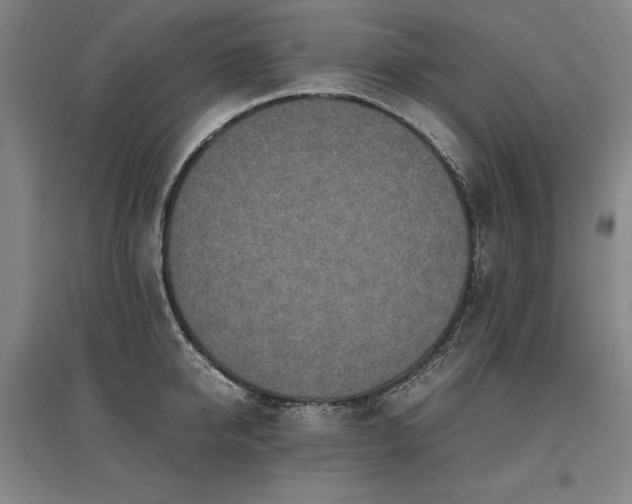 X0000095910950200801111229