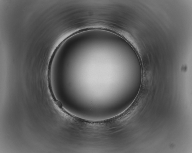 X0000095910951200801111229