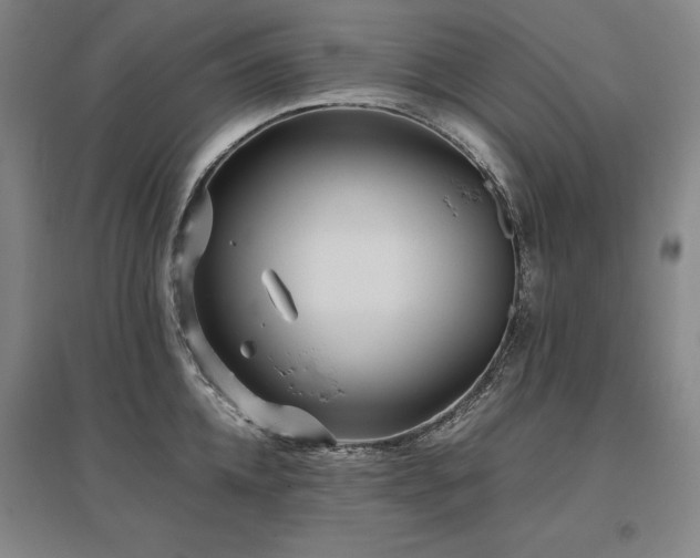 X0000095910952200801111229